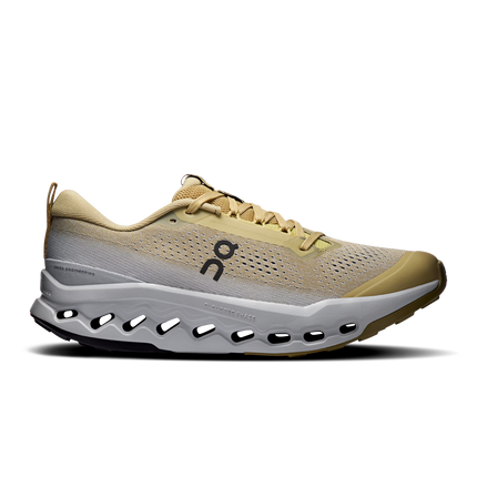 Mens Cloudsurfer Trail 2