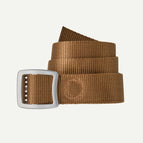 Deer brown